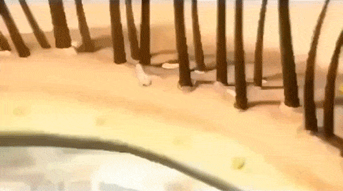 分钟让头发自然干！养出女明星绸缎发！开元棋牌app国产变态“抽水帽”几(图15)